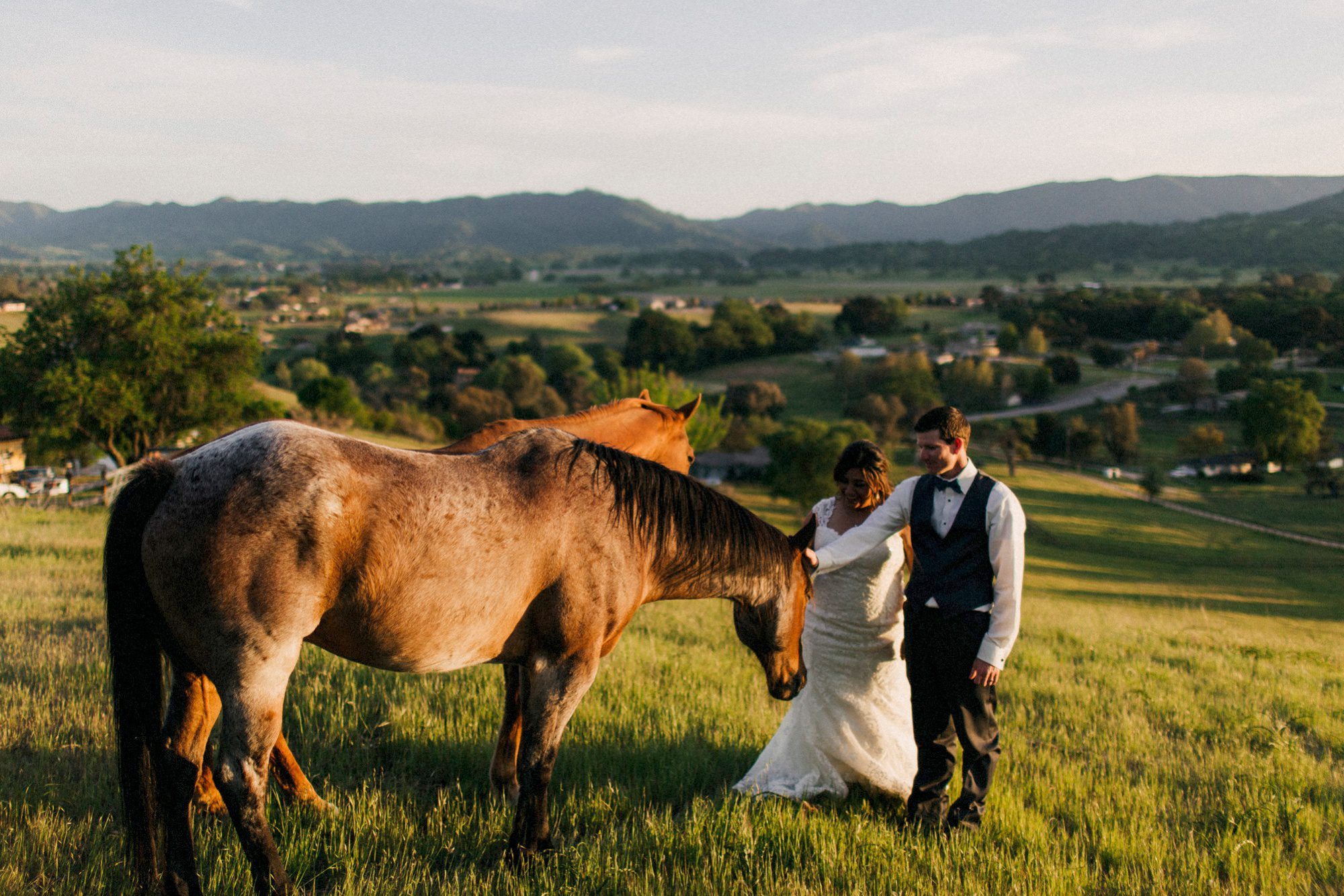 bride and groom sunset photos at the grace marlin estate and gardens wedding by san luis obispo wedding photographer sarah kathleen