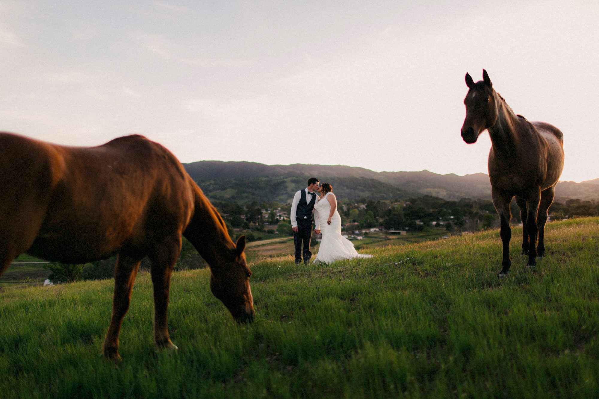 bride and groom sunset photos at the grace marlin estate and gardens wedding by san luis obispo wedding photographer sarah kathleen